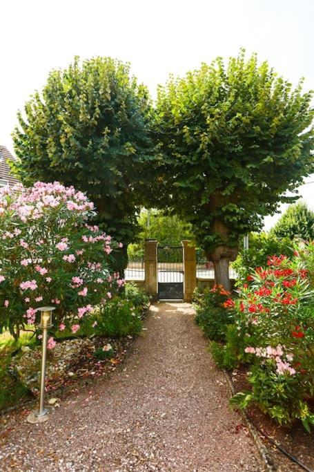 F3 80 M2 Longere Plain Pied Au Centre Auxonne. Villa Exterior photo